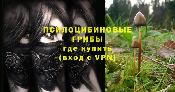 шишки Алексин