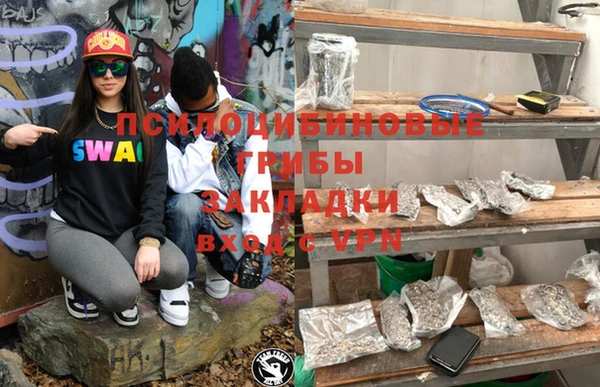 шишки Алексин