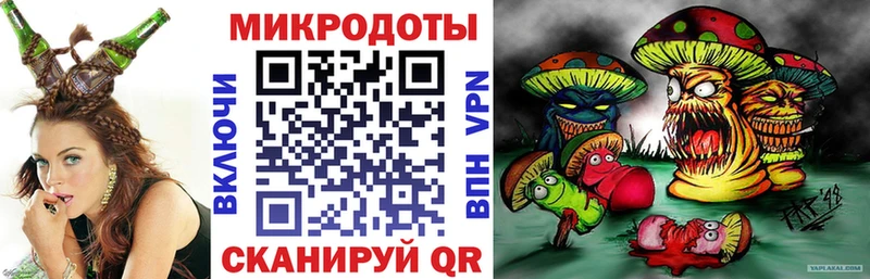 что такое наркотик  Грайворон  Псилоцибиновые грибы Psilocybine cubensis 